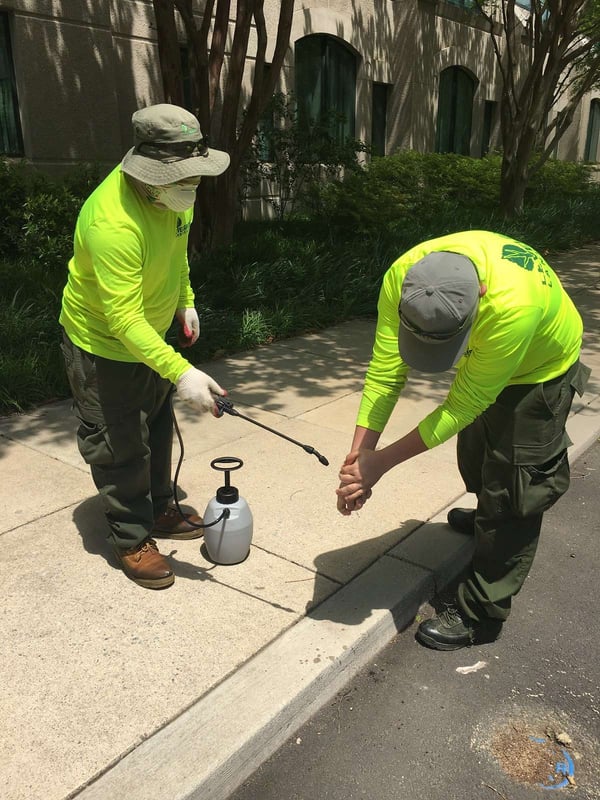 Personal Protective Equipment (PPE) Roundup An Inside Look at the Gear Keeping Everyone Safe